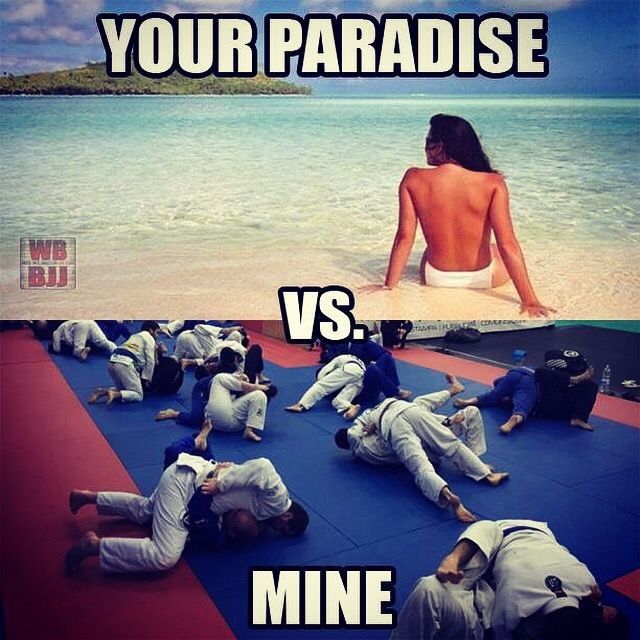 BJJ für Anfänger